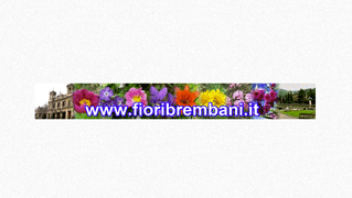 fioribrembani.it/