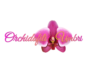 Orchidofili Umbri